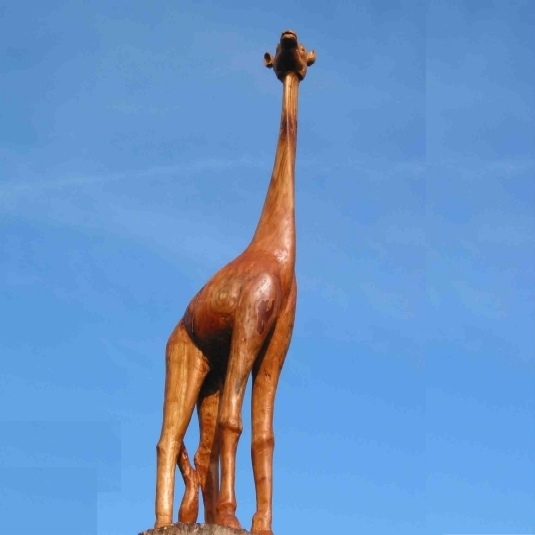 giraf-tegen-lucht
